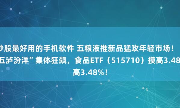 炒股最好用的手机软件 五粮液推新品猛攻年轻市场！“茅五泸汾洋”集体狂飙，食品ETF（515710）摸高3.48%！