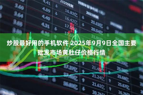 炒股最好用的手机软件 2025年9月9日全国主要批发市场黄肚仔价格行情