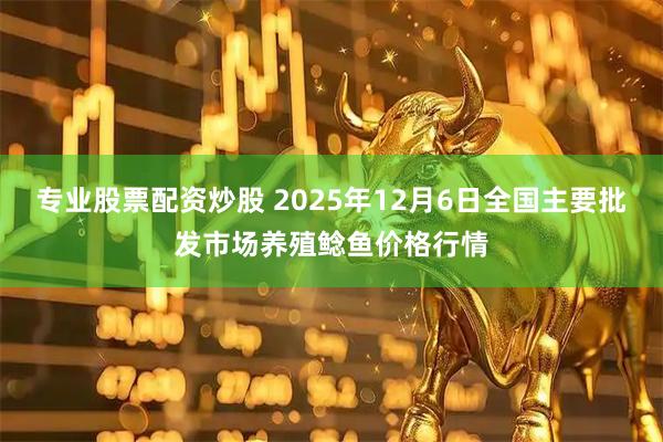 专业股票配资炒股 2025年12月6日全国主要批发市场养殖鲶鱼价格行情
