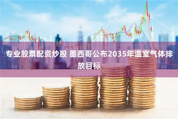 专业股票配资炒股 墨西哥公布2035年温室气体排放目标