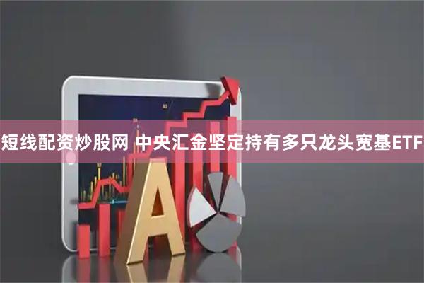 短线配资炒股网 中央汇金坚定持有多只龙头宽基ETF