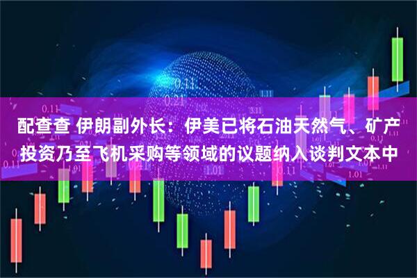配查查 伊朗副外长：伊美已将石油天然气、矿产投资乃至飞机采购等领域的议题纳入谈判文本中