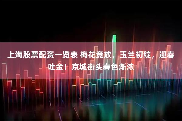 上海股票配资一览表 梅花竞放，玉兰初绽，迎春吐金！京城街头春色渐浓