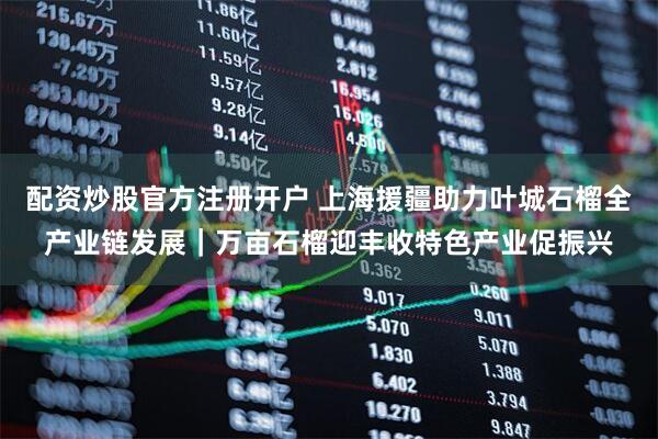 配资炒股官方注册开户 上海援疆助力叶城石榴全产业链发展｜万亩石榴迎丰收特色产业促振兴